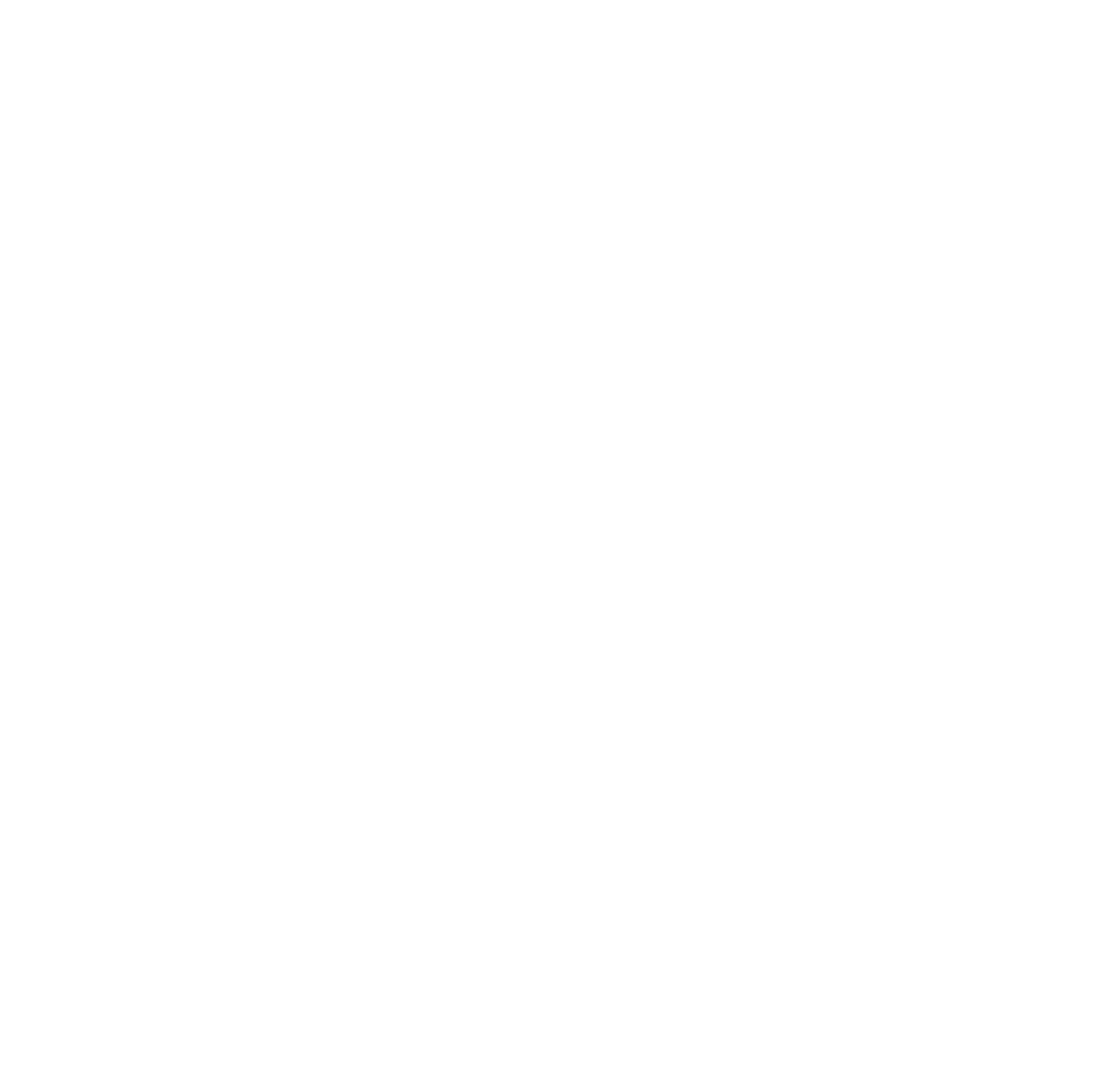 DMR Logo
